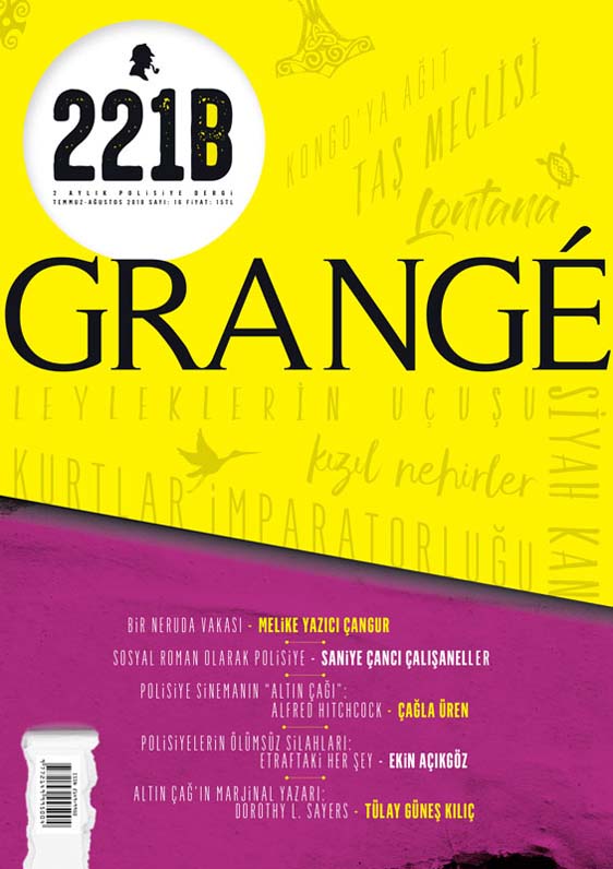 221B Dergi 16. Sayı, Kapak Görseli