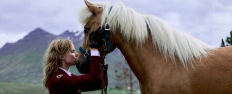 death of a horse