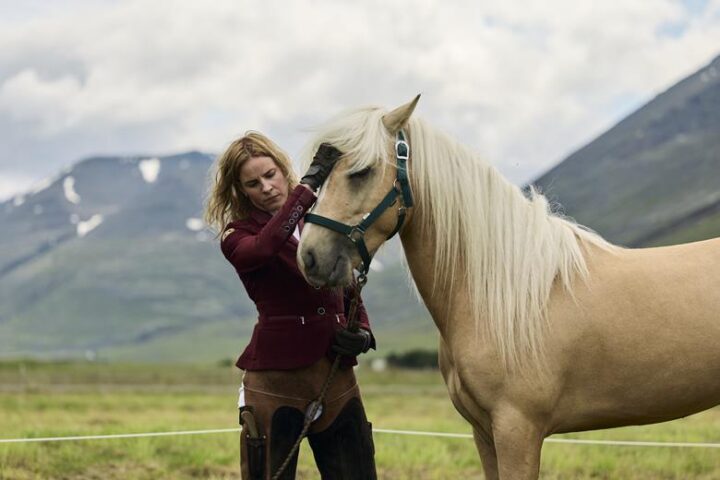 death of a horse